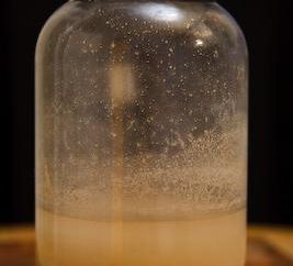 Segredos de vodka caseiro: como colocar uma cerveja caseira de grãos ou bagas