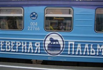 "Palmira do Norte" – trem de dois andares: Descrição, orientações, opiniões. St. Petersburg trem – Adler