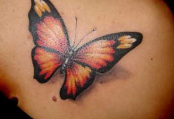 Mariposa del tatuaje – Decoración con gusto para el cuerpo de una mujer