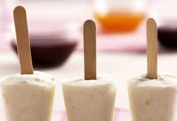 ¿Sabe usted cómo el yogur congelado? Esto es útil delicadeza es tradicional en su escritorio
