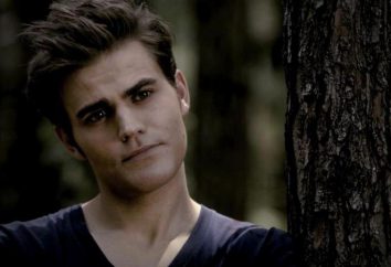 Stefan Salvatore: perfil vampiro bonito