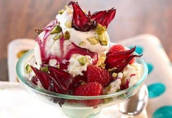 Los platos dulces a su mesa: el postre de helado