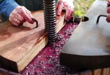 Jak zrobić prasę do winogron z rękami?
