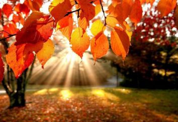 „Herbst-Tag“: Wie ein Aufsatz über ein ungewöhnliches Thema zu schreiben?