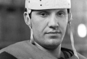 giocatore sovietico di hockey Alexander Ragulin: biografia, successi nello sport