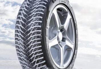 O que é melhor para comprar pneus de Inverno? O que é melhor para comprar pneus de Inverno para "Reno daster"?