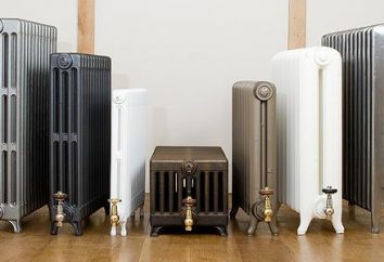 Radiatori in ghisa, che è meglio? radiatori in ghisa: specifiche, recensioni ed esperti dei clienti