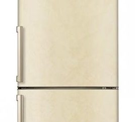 Kühlschrank LG GA-B489YEQZ: Bewertungen