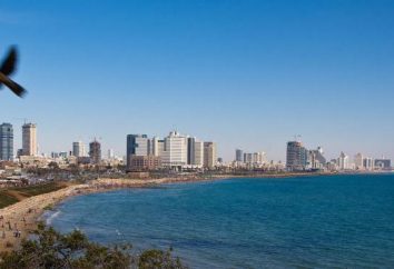 Jak dostać się z Tel Awiwu do Ejlat: autobus, pociąg, samolot. Odległość od Tel Awiwu do Ejlatu