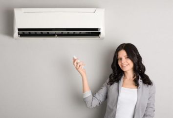 Come attivare l'aria condizionata per il riscaldamento? Come il condizionatore d'aria funziona il riscaldamento?