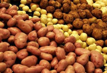 Varietà di patate in Bielorussia: la precoce, medio precoce, a metà stagione, srednepozdnie, titolo, descrizione, la produttività