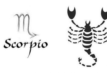 Skorpion: Element znak, kompatybilność