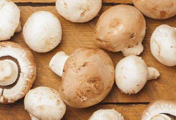 funghi champignon e formaggio: una ricetta