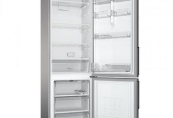 Refrigerador Hotpoint Ariston HF 5200 S: especificações e críticas do comprador