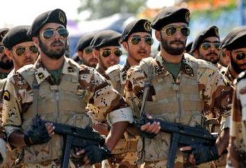 Iran Armee: Vergangenheit und Gegenwart