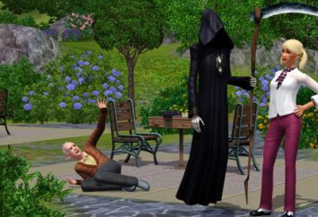 Pun nella realtà virtuale, o, come in "The Sims 3" diventare la morte?