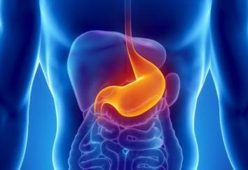 malattie dello stomaco: sintomi, il trattamento, la dieta. Diagnosi e prevenzione delle malattie dello stomaco