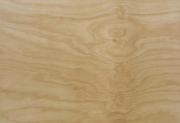 contraplacado de madeira macio: Especificações, fabricação e rotulagem. WBP madeira compensada