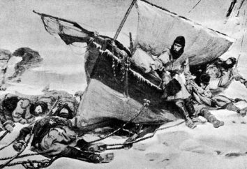 La spedizione perduta: misteri e indagini. Lost Expedition Dyatlov e Franklin