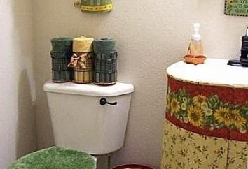 Comment cacher la pipe dans la salle de bain: les options de décoration