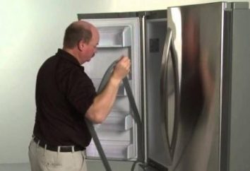 Come superare la porta del frigorifero "Indesit": guida passo per passo