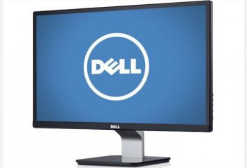 Dell Monitory: przegląd nowych produktów i opinii