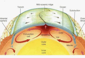 O movimento da crosta terrestre: o esquema e os tipos de