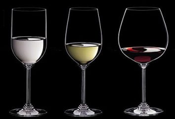 Types de verres à vin (photo)