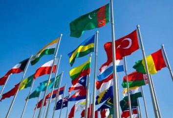 Il commercio internazionale – che cosa è questo? Definizione, funzioni e tipi