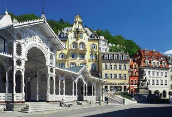 Wie man Karlovy bekommen von Prag Vary selbst?