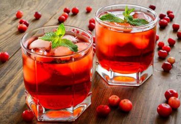 Cranberry koktajl: napoje letnie