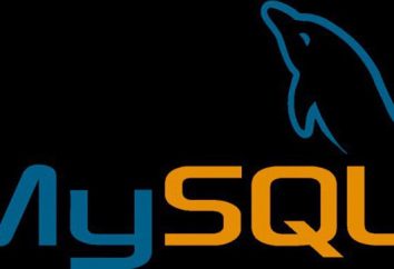 MySQL – ¿qué es esto?. MySQL Error
