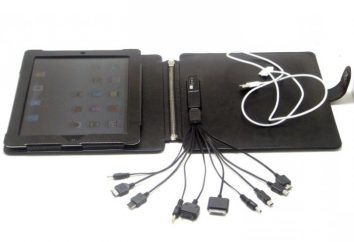 Caricabatterie per un tablet: i tipi e le loro caratteristiche