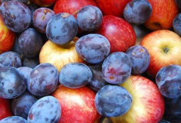 Kompott von Pflaumen und Äpfeln für den Winter: einfache Rezepte