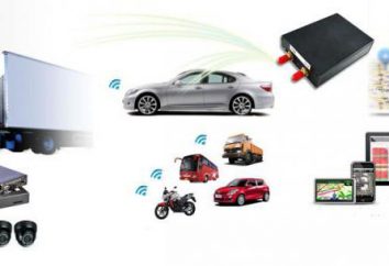 Satellite Tracking System Automobile: principi di funzionamento Un dispositivo, esempi