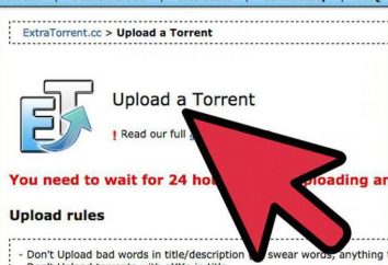 Co to znaczy "rozproszony w torrent"? Instrukcja dla użytkowników