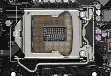"Socket 1156": la première prise de CPU pour la famille de CPU CORE