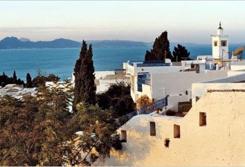 Resorts della Tunisia. Descrizione e foto