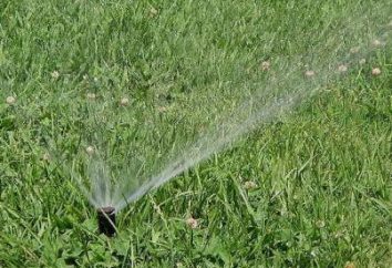 Pompes à eau pour l'irrigation: quels sont-ils?