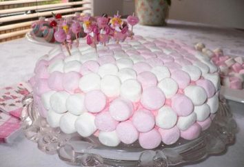 torta Marshmallow: ricette. Come rendere la torta senza cottura marshmallow