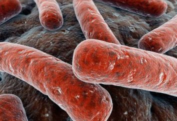 La tuberculose est-elle traitée ou non? Méthodes de traitement