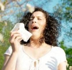 Os sintomas de uma alergia ao fluff álamo. Tratamento e prevenção