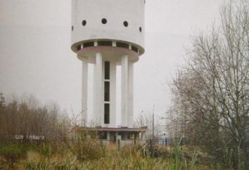 Torre Blanca (Ekaterimburgo) – el símbolo no oficial UZTM