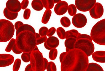 Bluterkrankungen: eine Liste der gefährlichsten