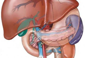 Por que e que dói o fígado: Possíveis Causas, sintomas e tratamento