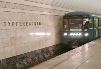 Da vedere nelle vicinanze della stazione della metropolitana "Turgenev"