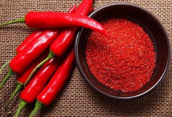 Harm i korzyści z papryki chili. Właściwości pieprz. chili w proszku