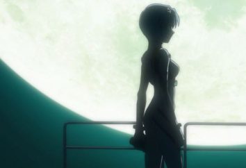 Rei Ayanami de "Evangelion" – la serie de culto de anime 90