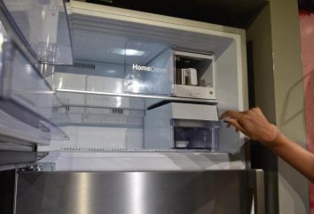 refrigeradores "Beko (Beko"): tipos, instrucciones de funcionamiento, opiniones de expertos y compradores