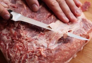 Cuchillos profesionales para cortar carne: características, reglas de selección